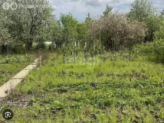 Участок в Пермь, СНТ Политехник (8 м) - Фото 1