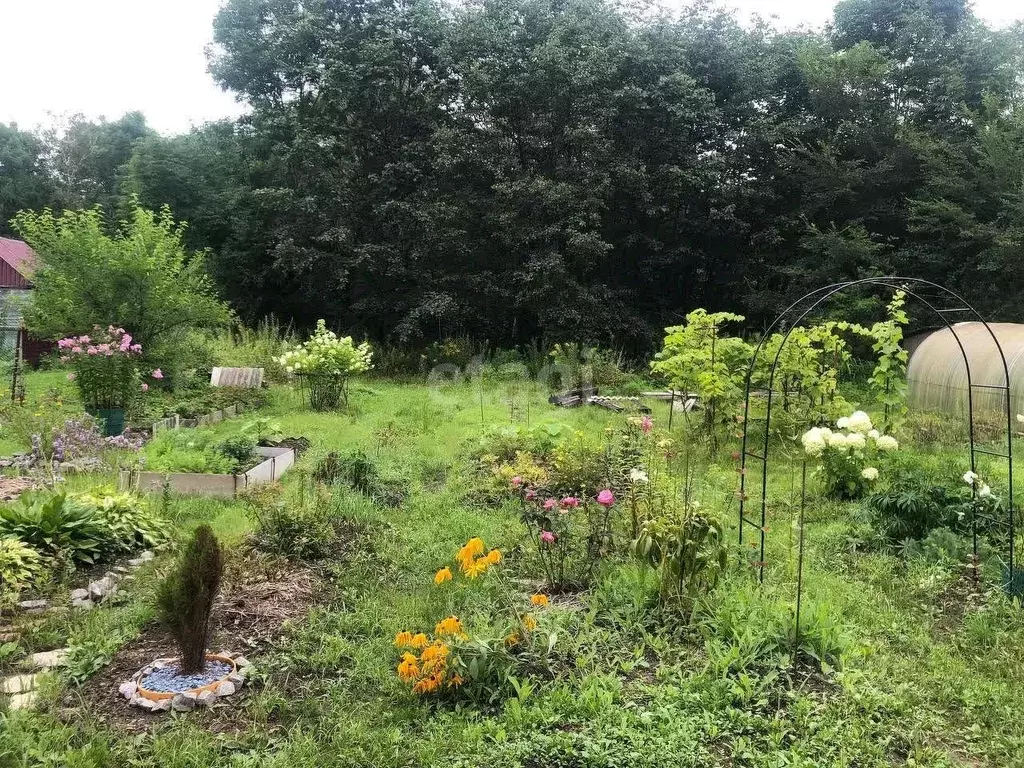 Дом в Хабаровский край, Хабаровский район, Автомобилист СНТ  (52 м) - Фото 2