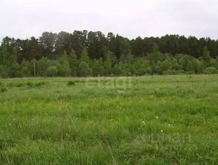 Участок в Курганская область, Курган с. Зайково,  (11.26 сот.) - Фото 2
