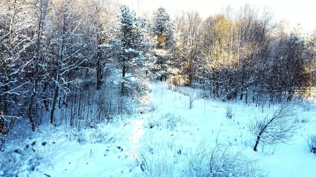 Участок в Ленинградская область, Выборгский район, Советское городское ... - Фото 1