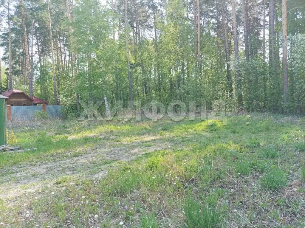 Участок в Новосибирская область, Новосибирский район, Мочищенский ... - Фото 1