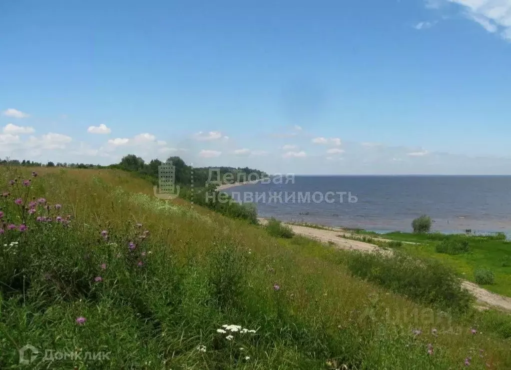 Участок в Новгородская область, Старорусский район, Наговское с/пос, ... - Фото 0