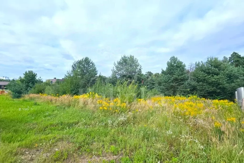 Участок в Московская область, Красногорск городской округ, пос. ... - Фото 1