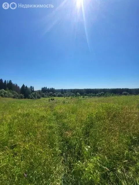 Дом в деревня Кривцово, 333А (147 м) - Фото 2