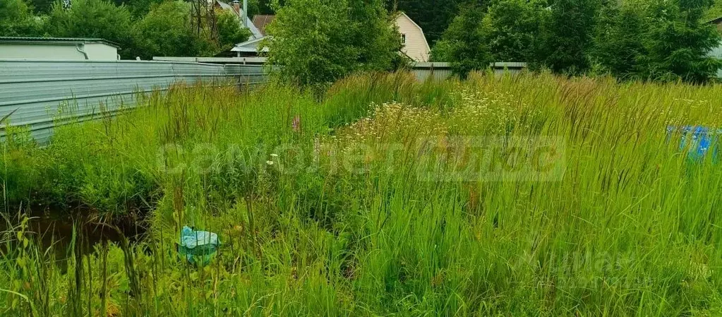 Участок в Московская область, Одинцовский городской округ, Лесная ... - Фото 0