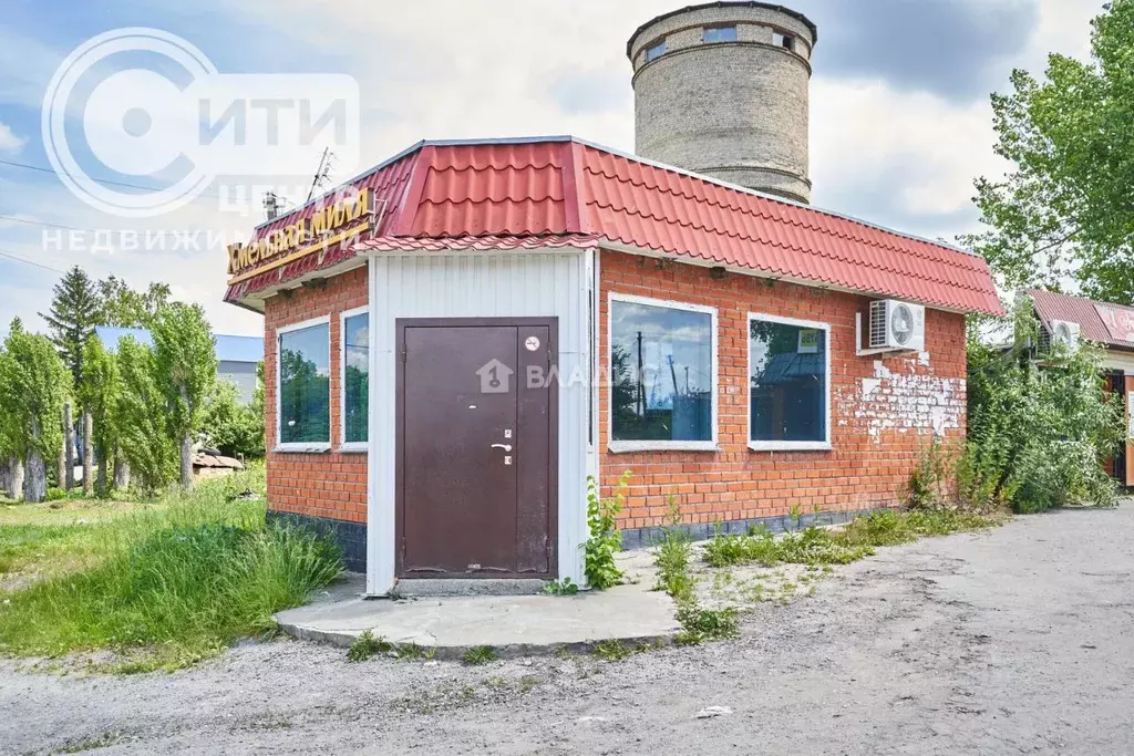 Помещение свободного назначения в Воронежская область, Нижнедевицкий ... - Фото 1