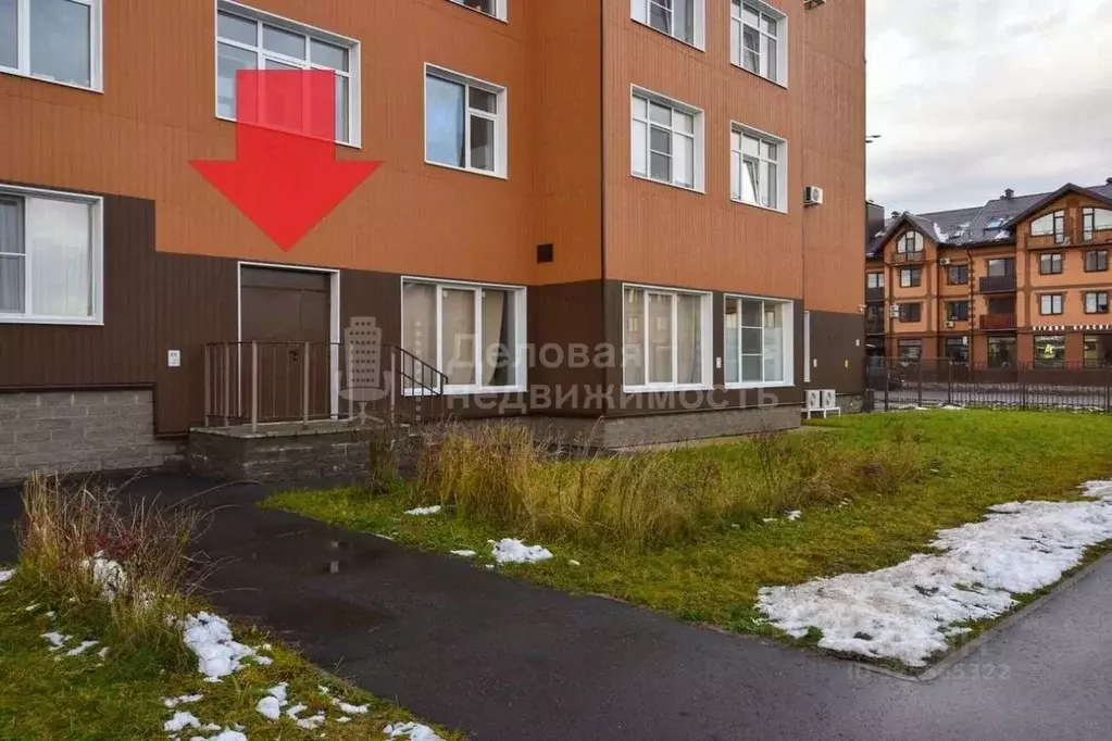 Торговая площадь в Новгородская область, Великий Новгород ул. ... - Фото 2