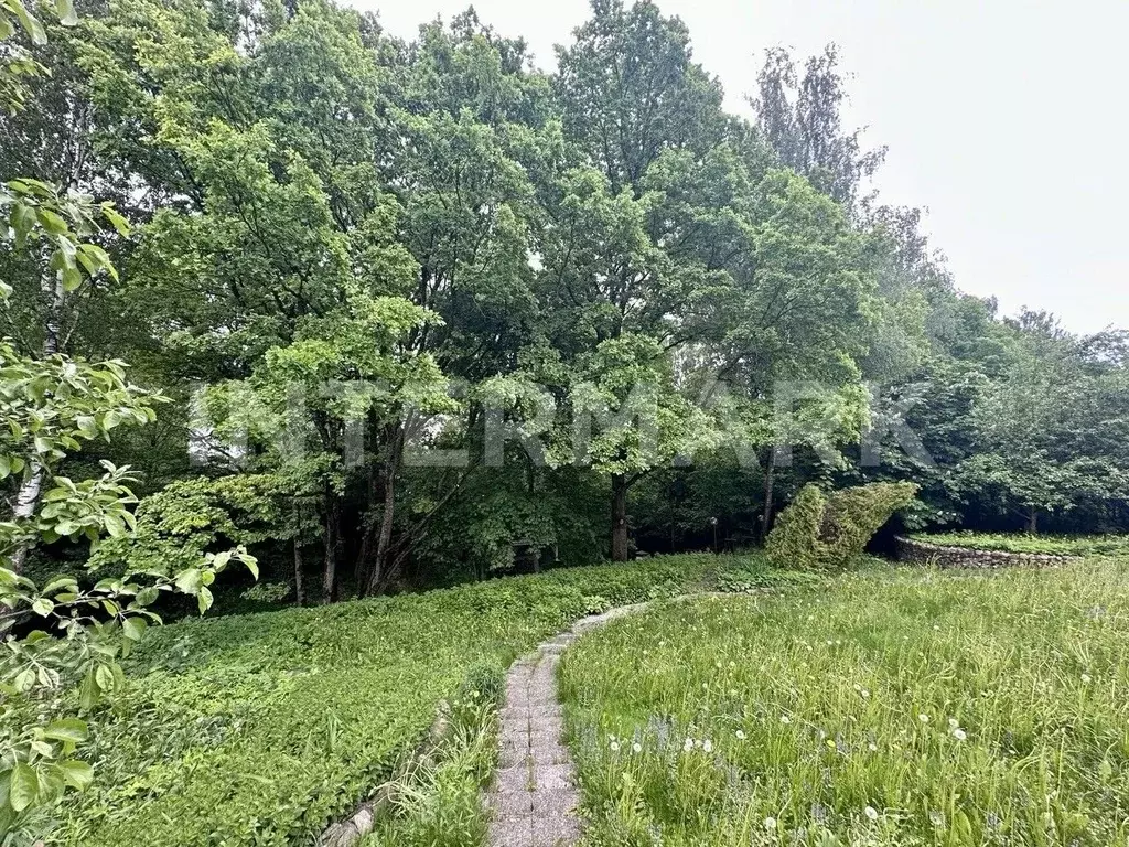 Участок в Московская область, Одинцовский городской округ, д. ... - Фото 2