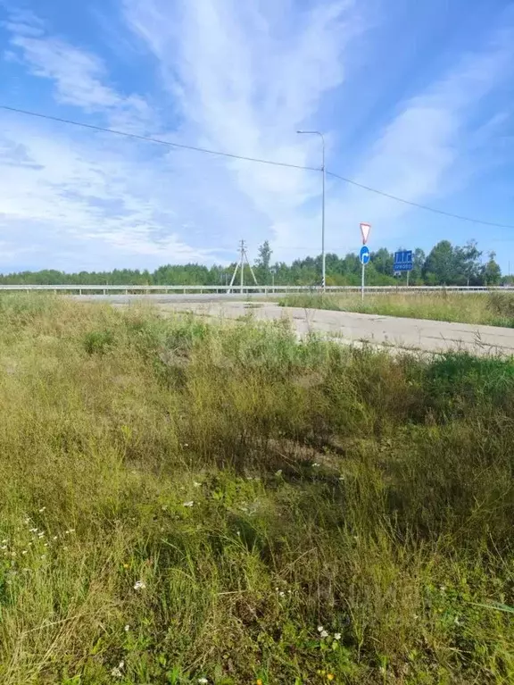 Помещение свободного назначения в Тюменская область, с. Ярково ул. ... - Фото 1