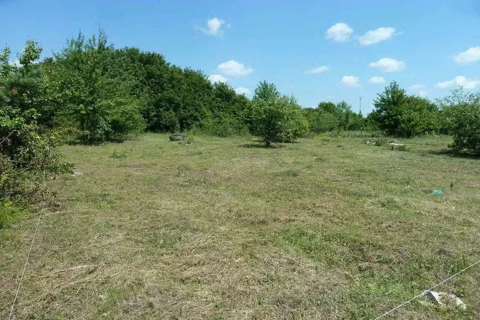 Участок в Воронежская область, с. Новая Усмань ул. Октябрьская (7.0 ... - Фото 1