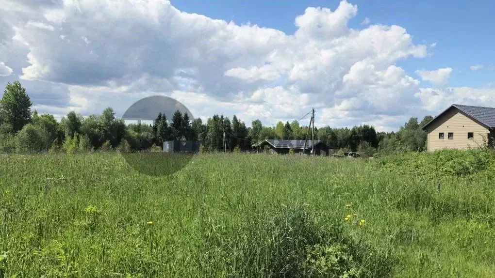 Участок в Ленинградская область, Приозерский район, Красноозерное ... - Фото 2