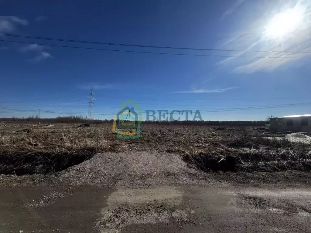 Участок в Ленинградская область, Ломоносовский район, Виллозское ... - Фото 2