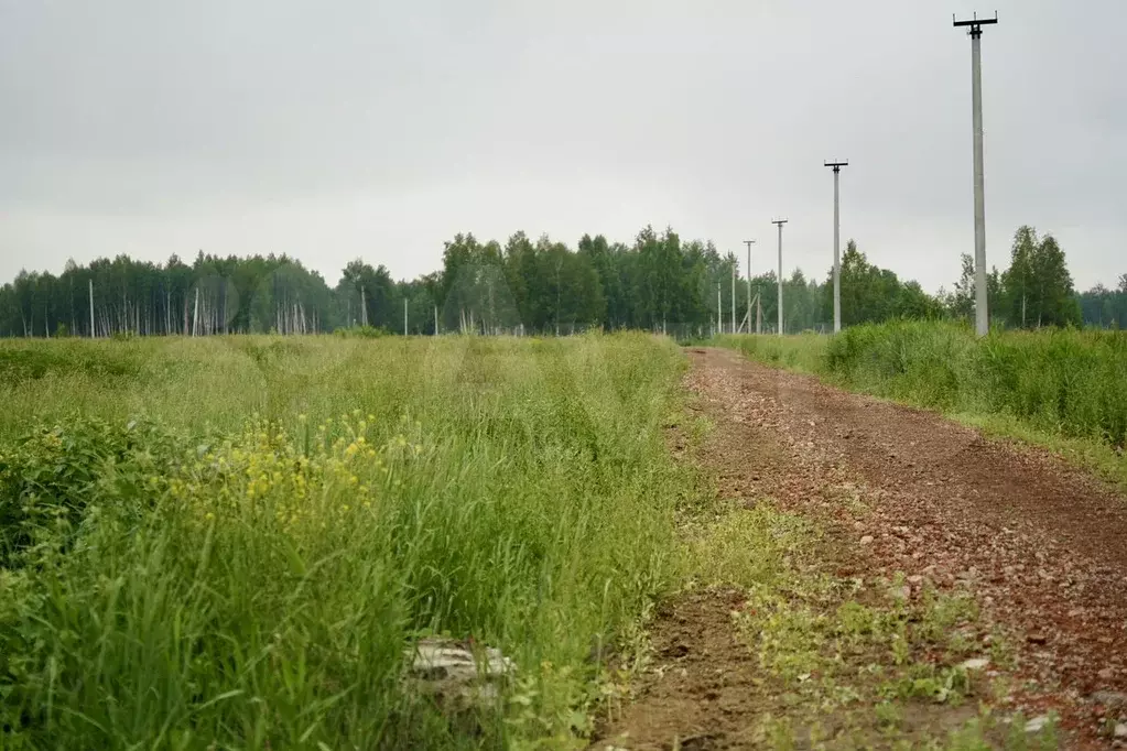 Участок 7 сот. (СНТ, ДНП) - Фото 1