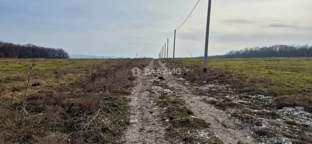 Участок в Краснодарский край, Новороссийск городской округ, ... - Фото 1