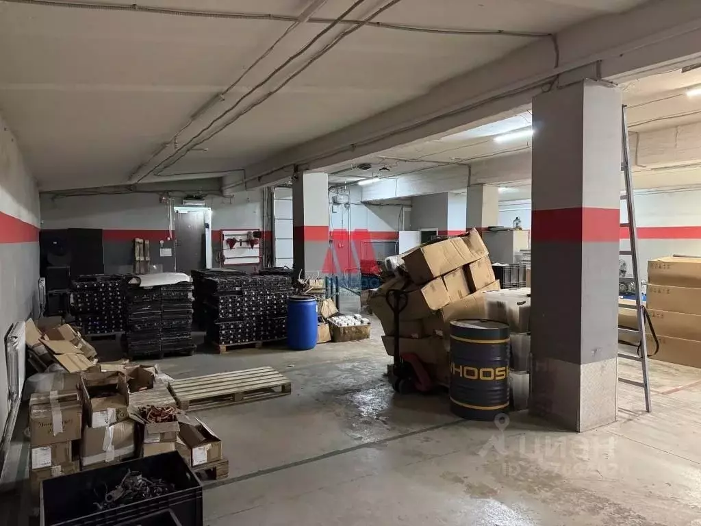 Помещение свободного назначения в Ярославская область, Ярославль ул. ... - Фото 1