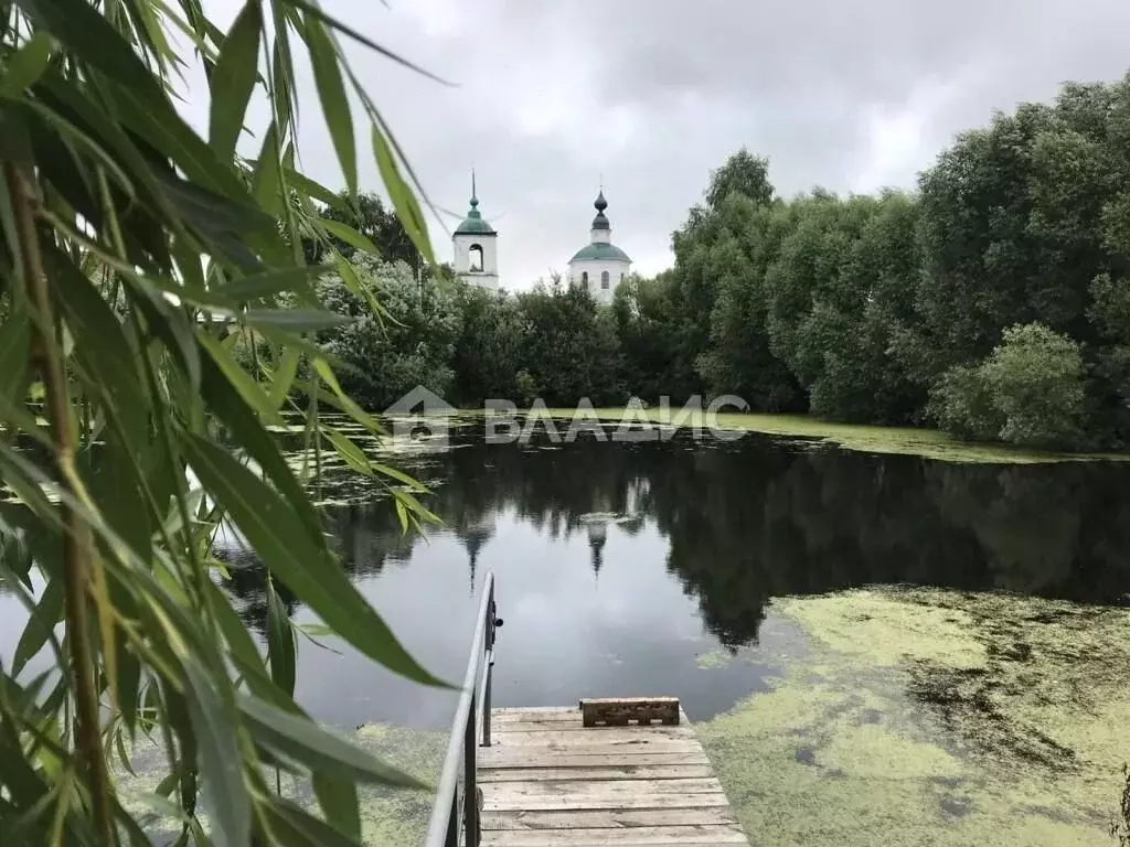 Участок в Владимирская область, Суздальский район, Новоалександровское ... - Фото 0