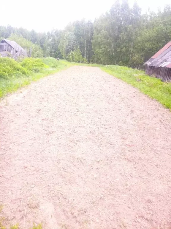 Дом в Нижегородская область, городской округ Чкаловск, деревня ... - Фото 1