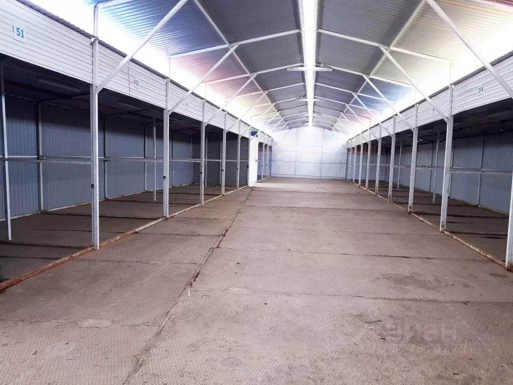 Склад в Московская область, Химки городской округ, д. Рузино ул. ... - Фото 2