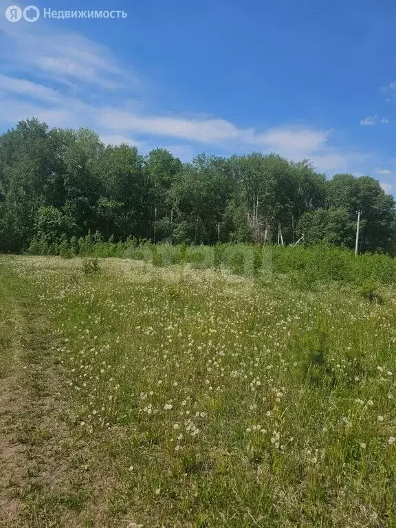 Участок в Тюменский муниципальный округ, село Кулига (10.95 м) - Фото 1