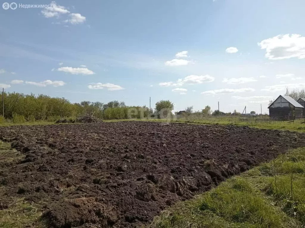 Участок в Мошковский район, село Локти, Советская улица (30 м) - Фото 1