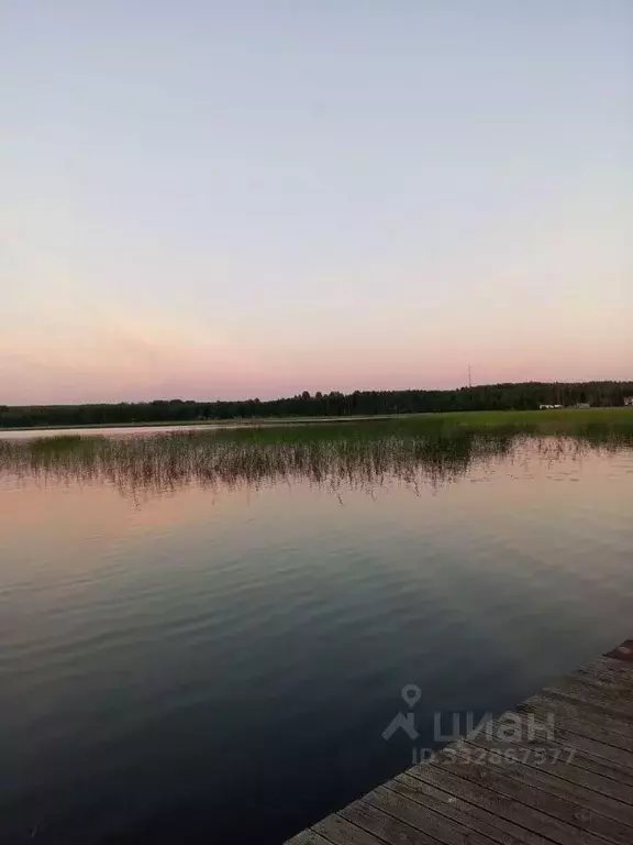 Дом в Ленинградская область, Выборгский район, Рощинское городское ... - Фото 1