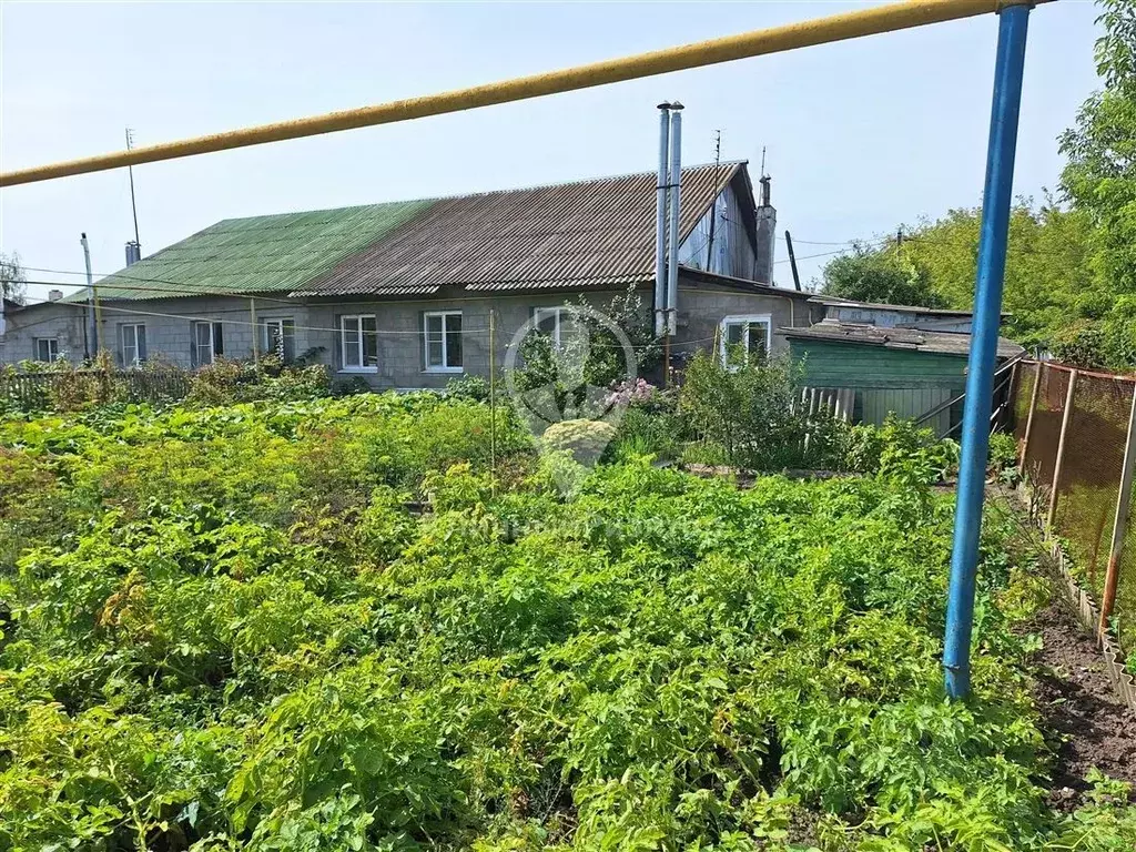 3-к кв. Рязанская область, Чучково рп ул. Грачева, 17 (65.6 м) - Фото 1
