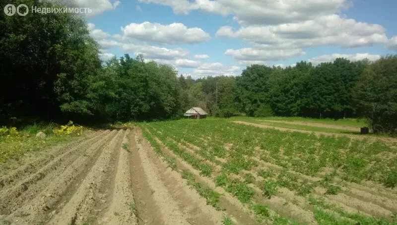 Участок в деревня Кошелевицы, Набережная улица, 21 (50 м) - Фото 1