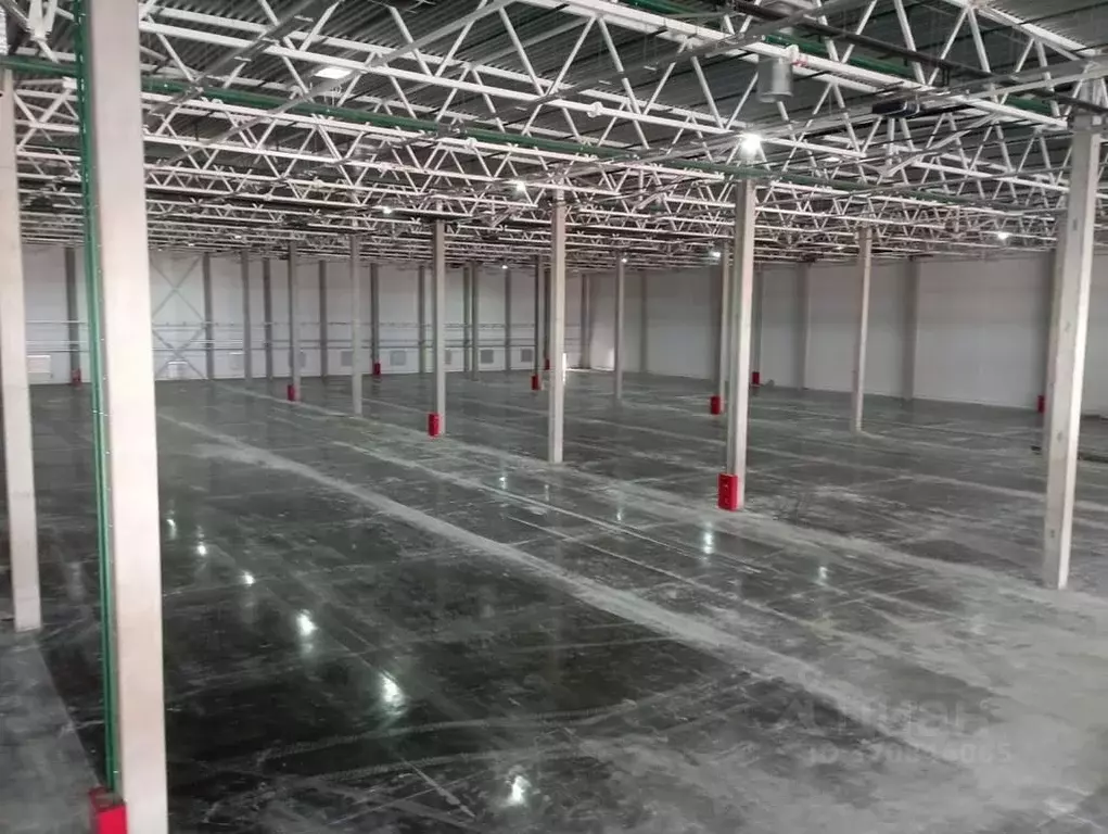 Склад в Московская область, Ленинский городской округ, Боброво пгт, ... - Фото 1