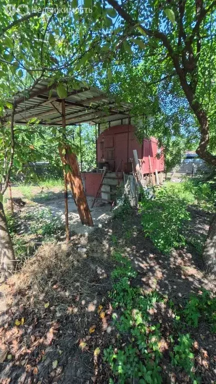Участок в хутор Ленина, СНТ Восток, Яркая улица, 222 (3.86 м) - Фото 1