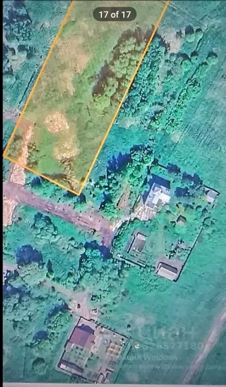 Участок в Новгородская область, Новгородский район, Трубичинское ... - Фото 1