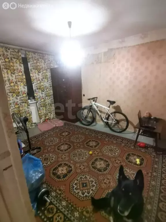1-комнатная квартира: Санкт-Петербург, улица Дыбенко, 24к1 (29.3 м) - Фото 0