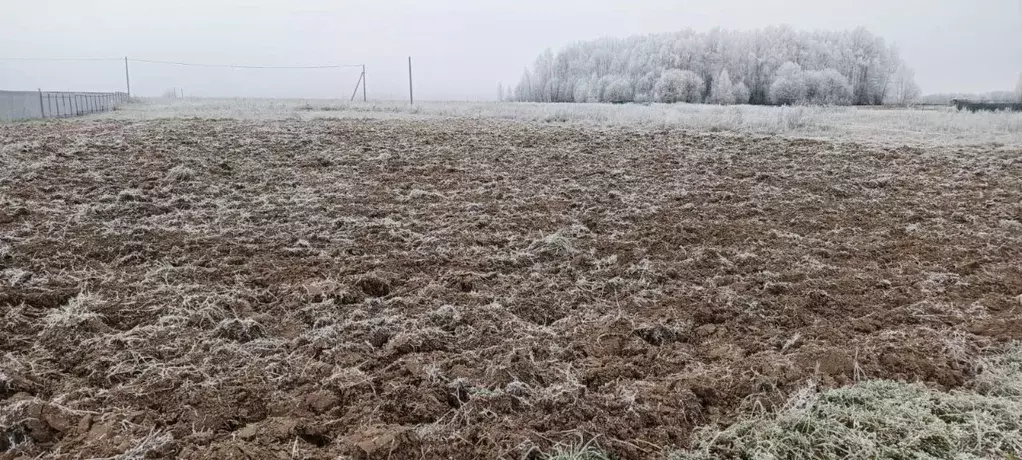 Участок в Марий Эл, Медведевский район, Азяковское с/пос, д. Шеклянур ... - Фото 2