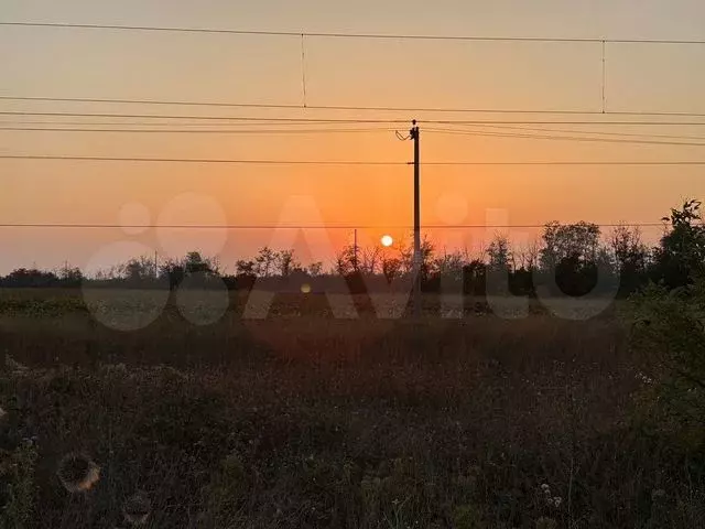 Участок 5 сот. (СНТ, ДНП) - Фото 0