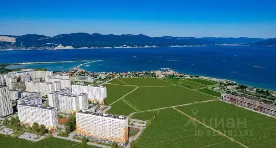 1-к кв. Краснодарский край, Новороссийск ул. Мурата Ахеджака, 17 (37.7 ... - Фото 0
