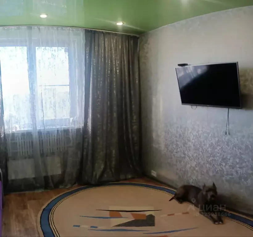 1-к кв. Самарская область, Тольятти Шлюзовой мкр, ул. ... - Фото 1