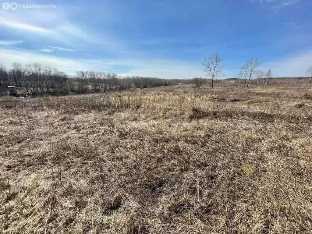 Участок в Бородинский, Луговая улица (14 м) - Фото 2