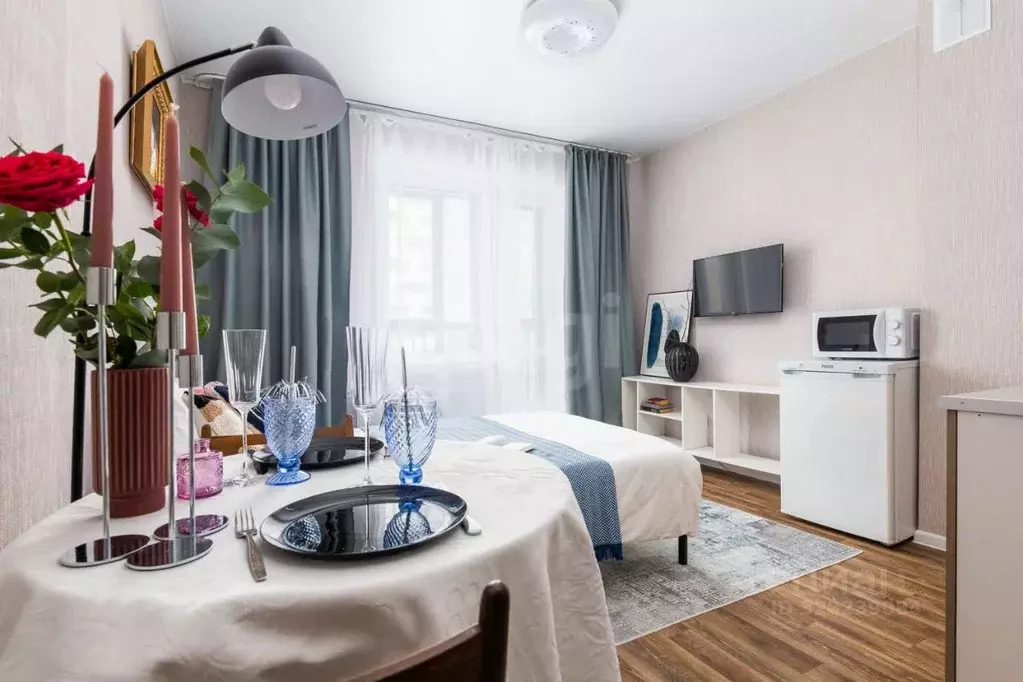 Студия Новосибирская область, Новосибирский район, Станционный ... - Фото 1