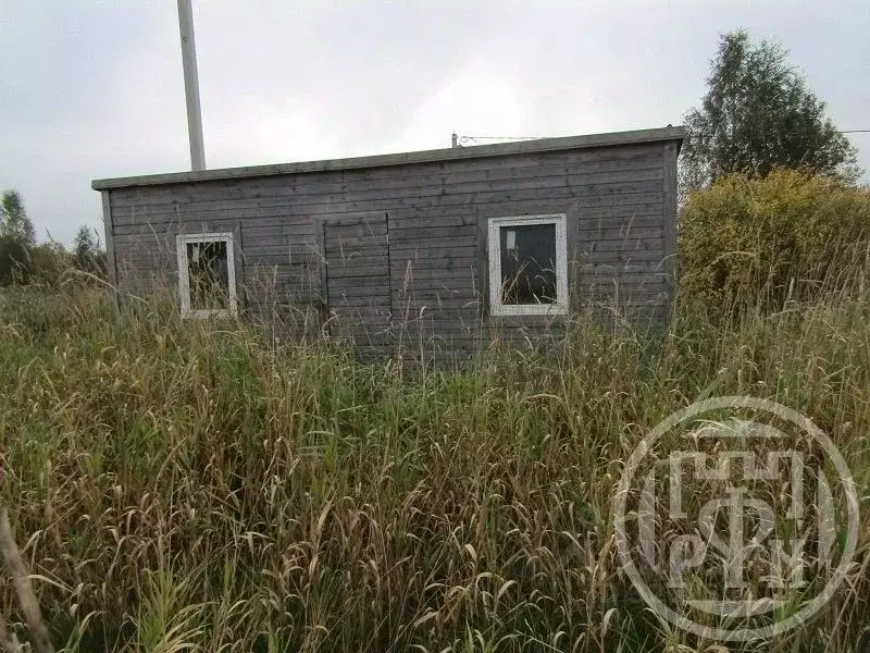 Участок в Ленинградская область, Всеволожский район, Романовское ... - Фото 2