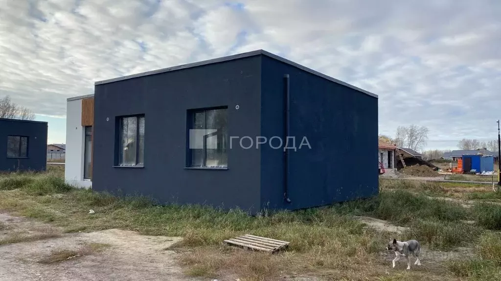 Дом в Новосибирская область, Новосибирский район, Сибирские просторы ... - Фото 0