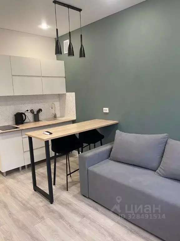 Студия Краснодарский край, Краснодар ул. Измаильская, 84 (17.6 м) - Фото 2