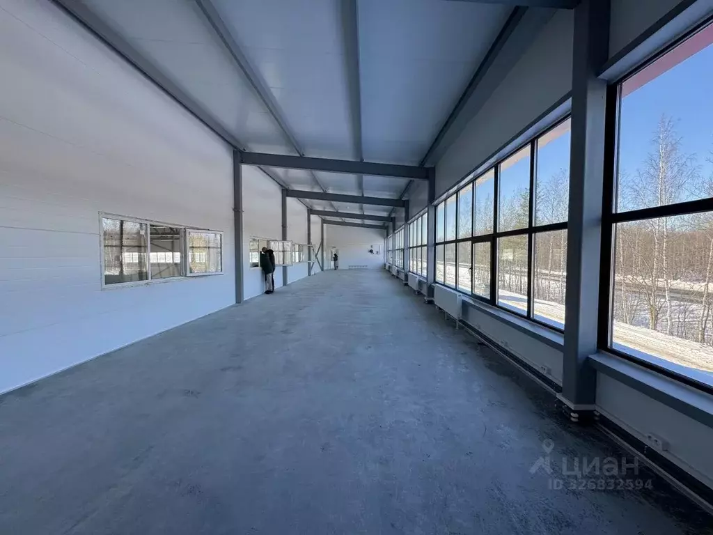 Производственное помещение в Ленинградская область, Ломоносовский ... - Фото 2