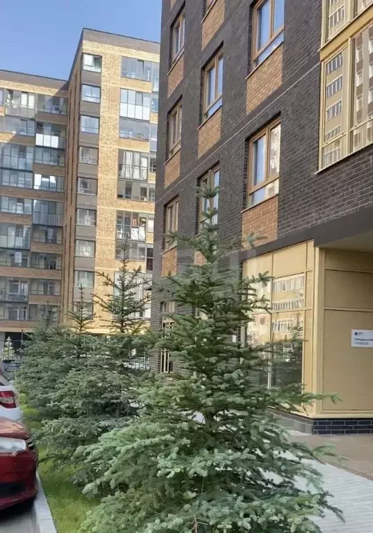 Студия Пермский край, Пермь Молодогвардейская ул., 37 (25.0 м) - Фото 1