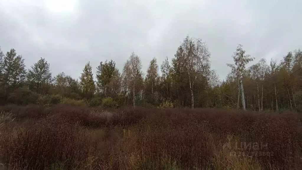 Участок в Московская область, Шатура  (6.0 сот.) - Фото 0