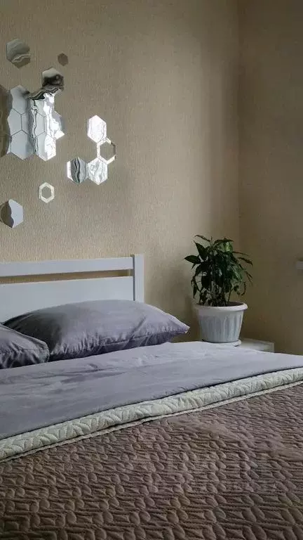 1-к кв. Самарская область, Самара Революционная ул., 149 (22.0 м) - Фото 2