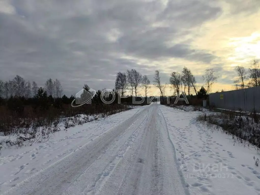 Участок в Тюменская область, Тюменский район, с. Каменка  (8.0 сот.) - Фото 0