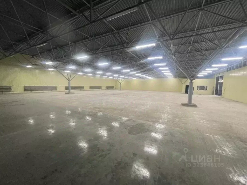 Склад в Московская область, Дзержинский ш. Дзержинское, 1 (1298 м) - Фото 1