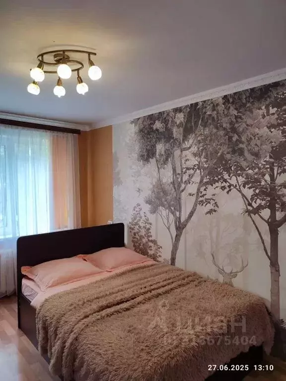 1-к кв. Владимирская область, Суздаль Советская ул., 35 (31.0 м) - Фото 0