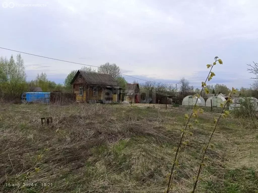 Участок в село Толмачево, СДТ Русь (5 м) - Фото 1