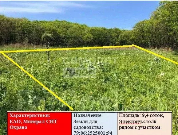 Участок в Еврейская автономная область, Смидовичский район, Минерал ... - Фото 1