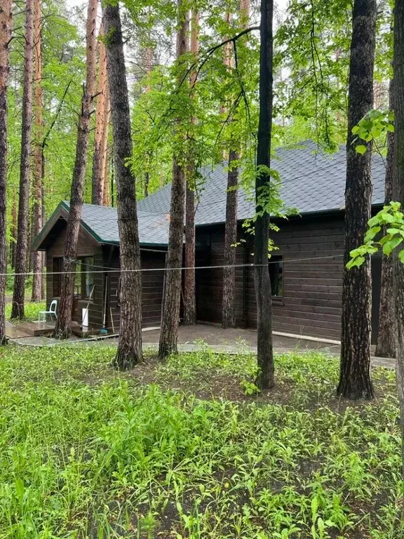 Участок в Челябинская область, Аргаяшский район, Кузнецкое с/пос, пос. ... - Фото 1